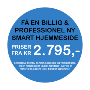 Lej en webmaster fra 195,-